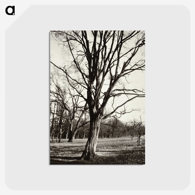 1-97_Eugene-Atget_postcard
