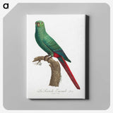 1-97_Francois-Levaillant_canvas