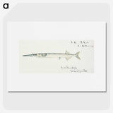 1-97_Frank-Edward-Clarke_picture