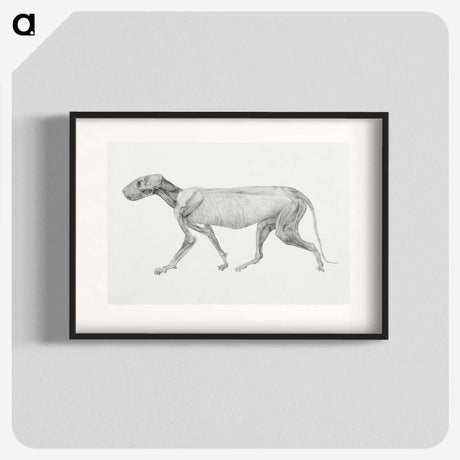 1-97_George-Stubbs_blk