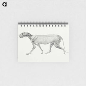 アートメモ帳-Tiger Body, Lateral View
 - ジョージ スタッブス Memo.