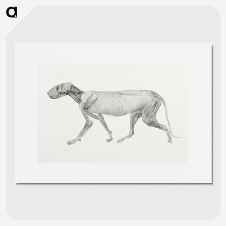 1-97_George-Stubbs_picture