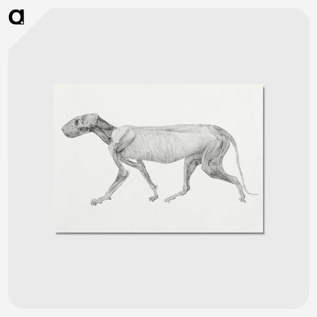 1-97_George-Stubbs_postcard
