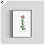 1-97_Histoire-des-Plantes-Grasses_blk