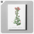 1-97_Histoire-des-Plantes-Grasses_canvas