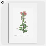 1-97_Histoire-des-Plantes-Grasses_picture