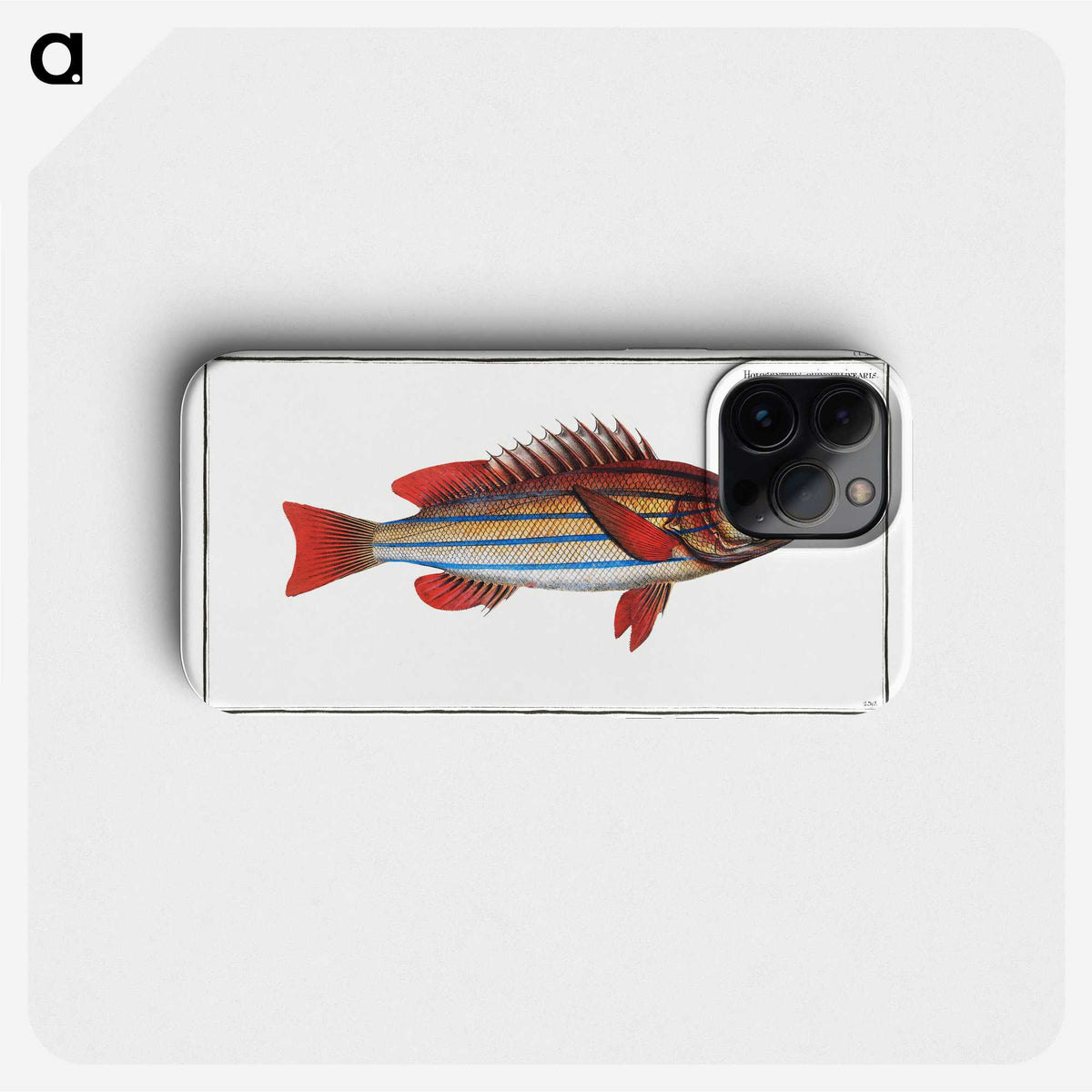 1-97_Ichtyologie-ou-Histoire-naturelle_phone