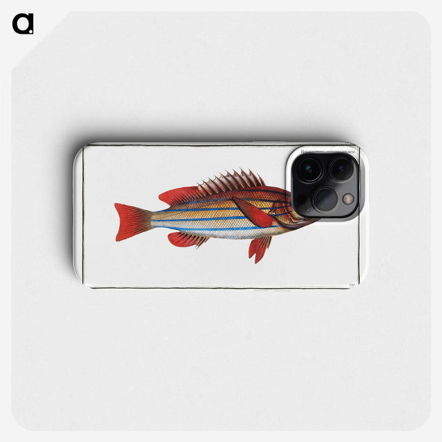 1-97_Ichtyologie-ou-Histoire-naturelle_phone