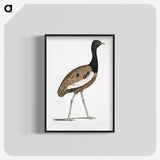 1-97_Indian-Zoology_blk-crop