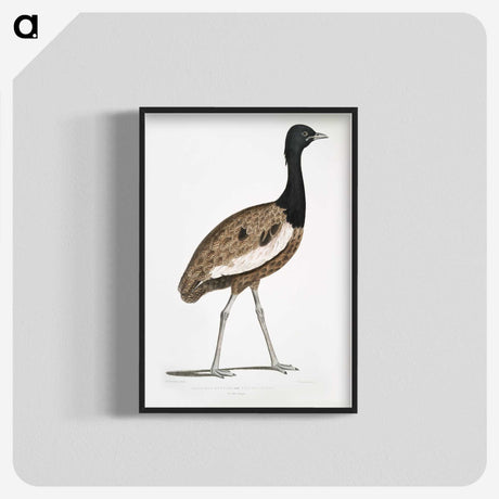1-97_Indian-Zoology_blk-crop