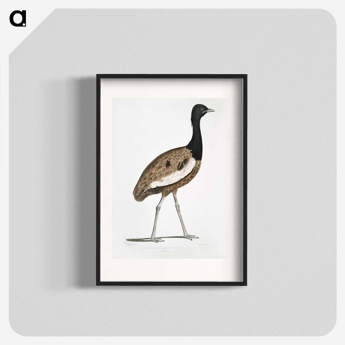 1-97_Indian-Zoology_blk