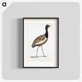 1-97_Indian-Zoology_blk