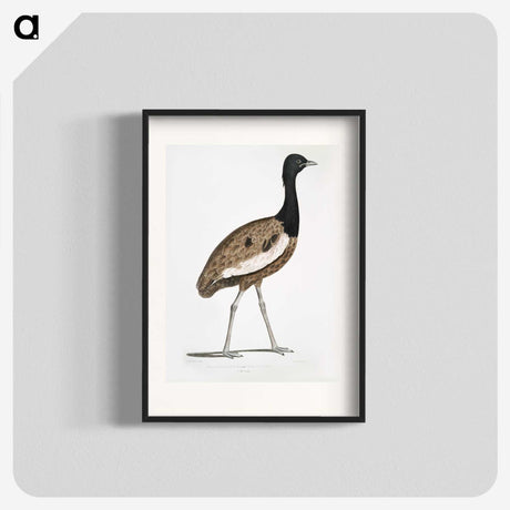 1-97_Indian-Zoology_blk