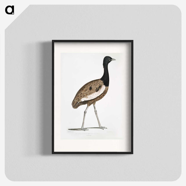1-97_Indian-Zoology_blk