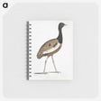 1-97_Indian-Zoology_memo