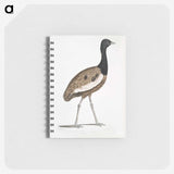 1-97_Indian-Zoology_memo