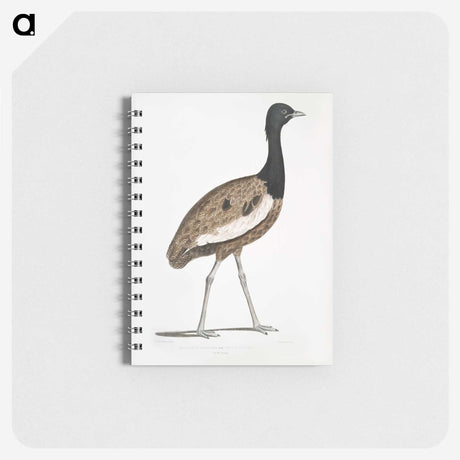 1-97_Indian-Zoology_memo