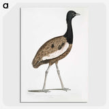 1-97_Indian-Zoology_picture-crop