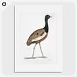 1-97_Indian-Zoology_picture