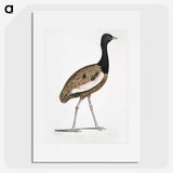 1-97_Indian-Zoology_picture