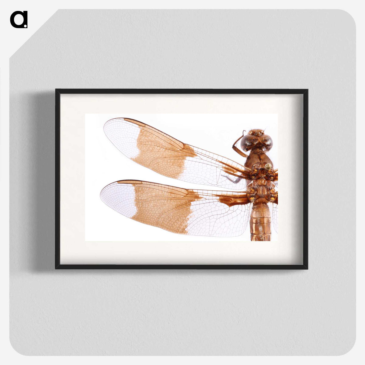 1-97_Insects-Unlocked-Project_blk