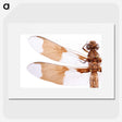 1-97_Insects-Unlocked-Project_picture