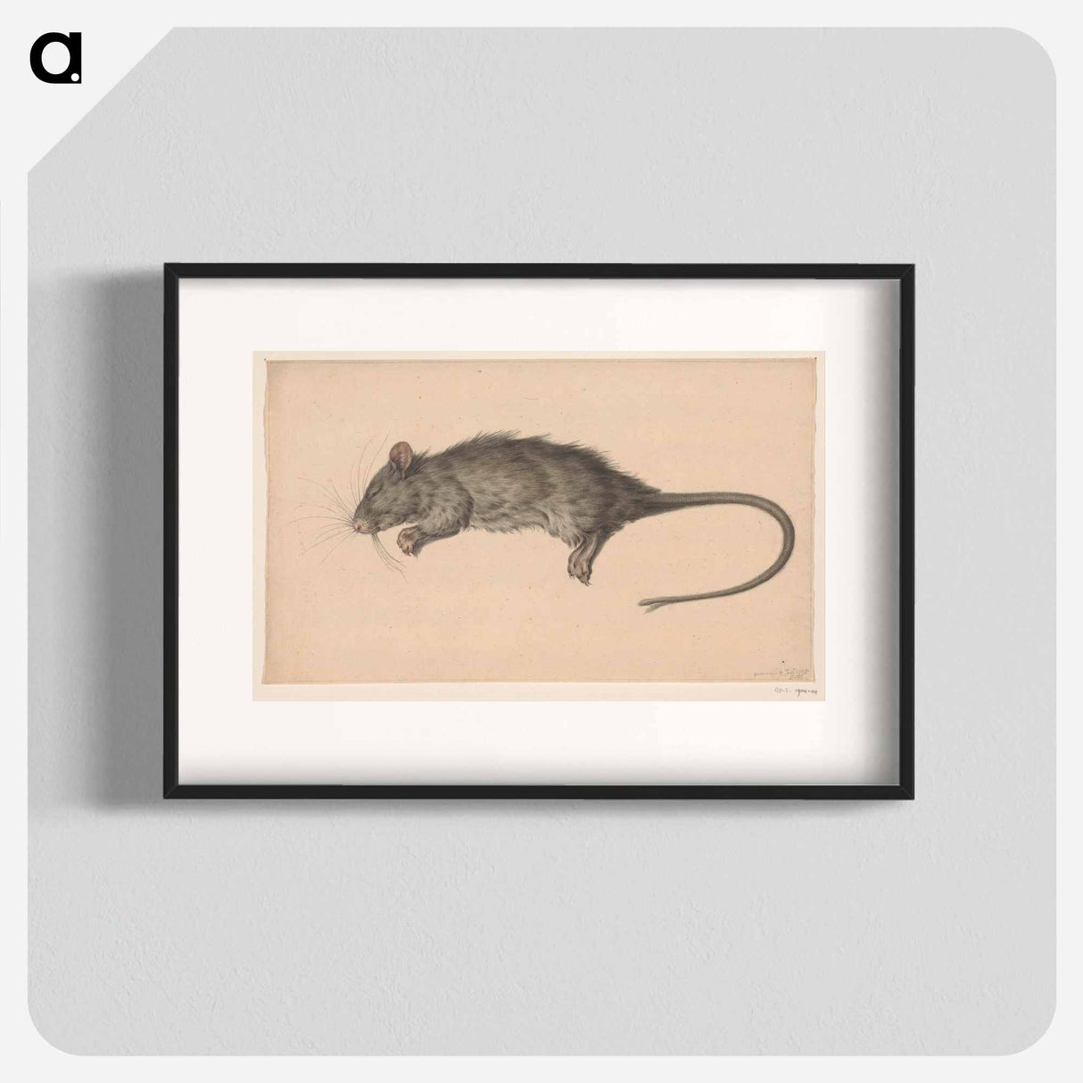 Dode rat - Jean Bernard Poster.