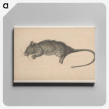 1-97_Jean-Bernard_canvas