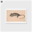 アートポストカード-Dode rat - ジャン ベルナール Postcard.