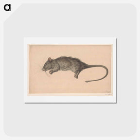 アートポストカード-Dode rat - ジャン ベルナール Postcard.