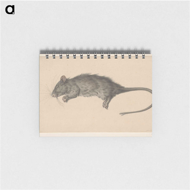 1-97_Jean-Bernard_memo