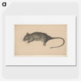 1-97_Jean-Bernard_picture