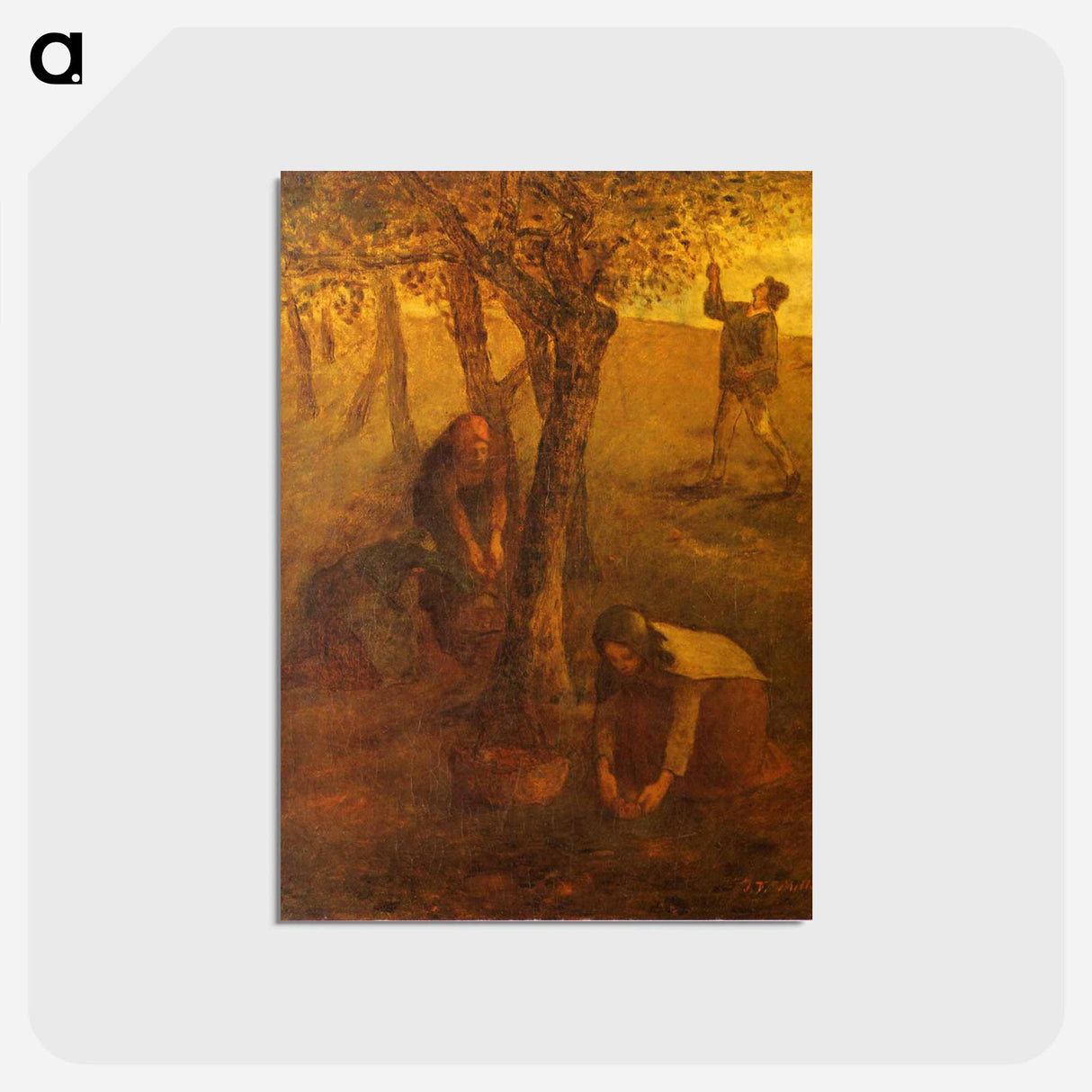 Gathering Apples - ジャン フランソワ ミレー Postcard.