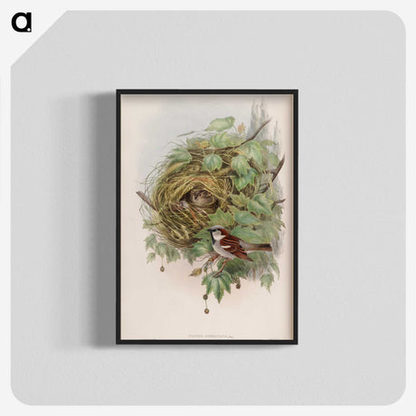 1-97_John-Gould_blk-crop