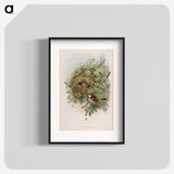 1-97_John-Gould_blk