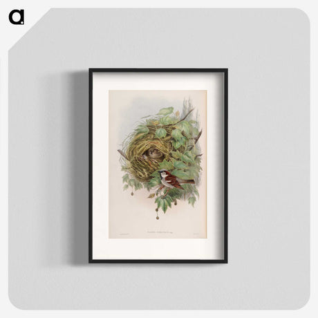 1-97_John-Gould_blk