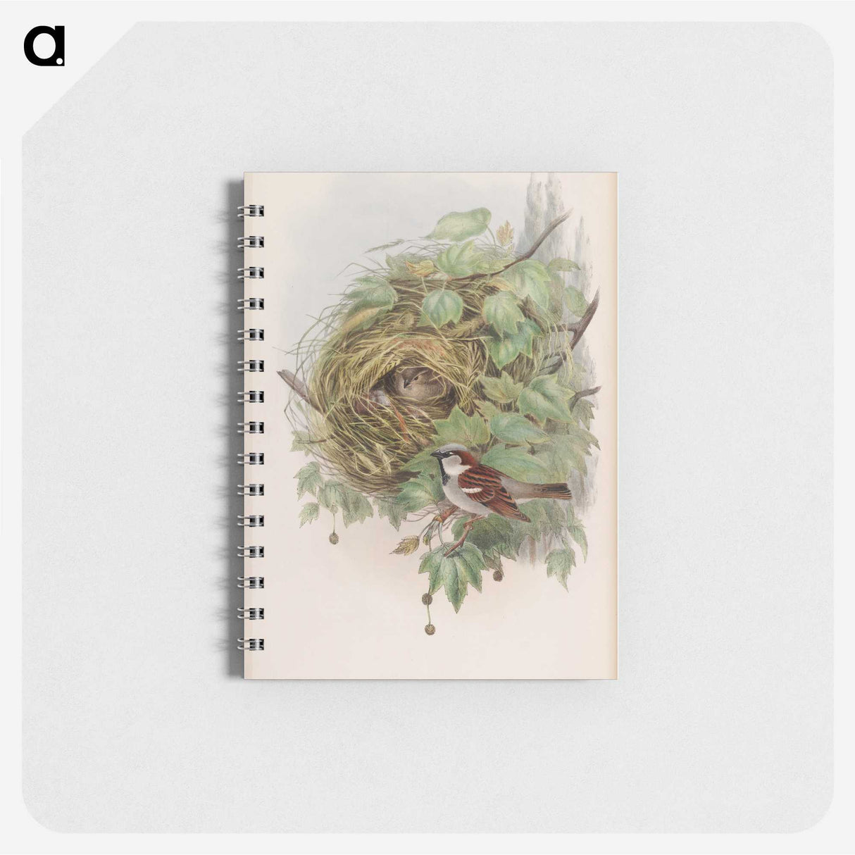 1-97_John-Gould_memo