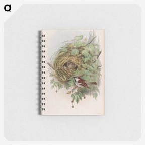 1-97_John-Gould_memo