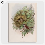 1-97_John-Gould_picture-crop