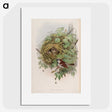 1-97_John-Gould_picture