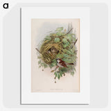 1-97_John-Gould_picture