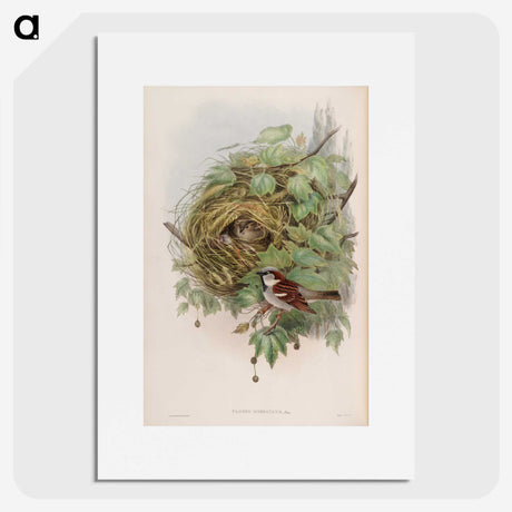 1-97_John-Gould_picture