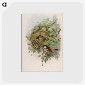1-97_John-Gould_postcard