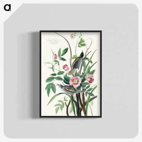 1-97_John-James-Audubon_blk-crop