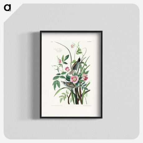 1-97_John-James-Audubon_blk