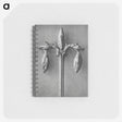 1-97_Karl-Blossfeldt_memo