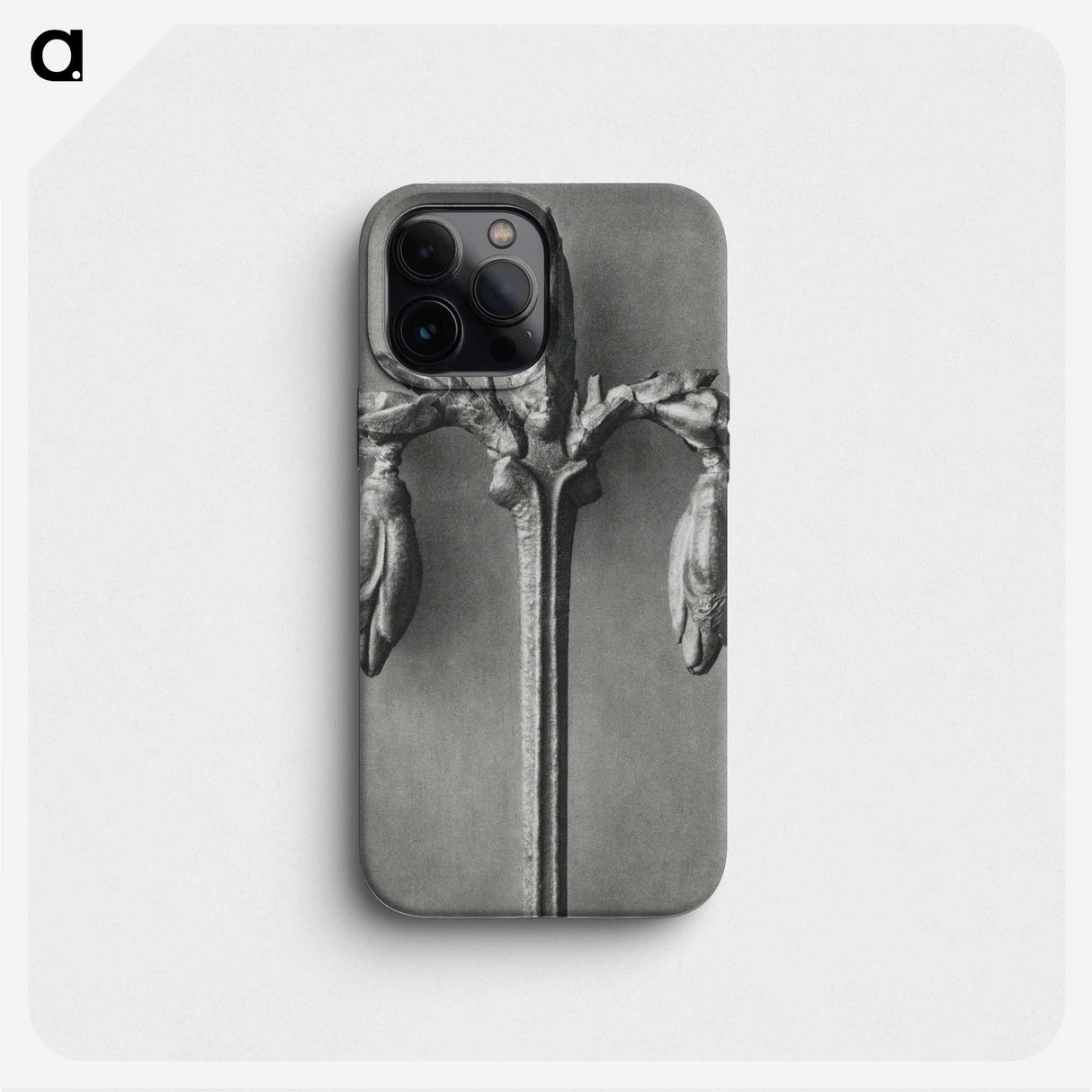1-97_Karl-Blossfeldt_phone