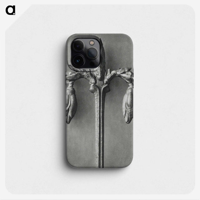 1-97_Karl-Blossfeldt_phone