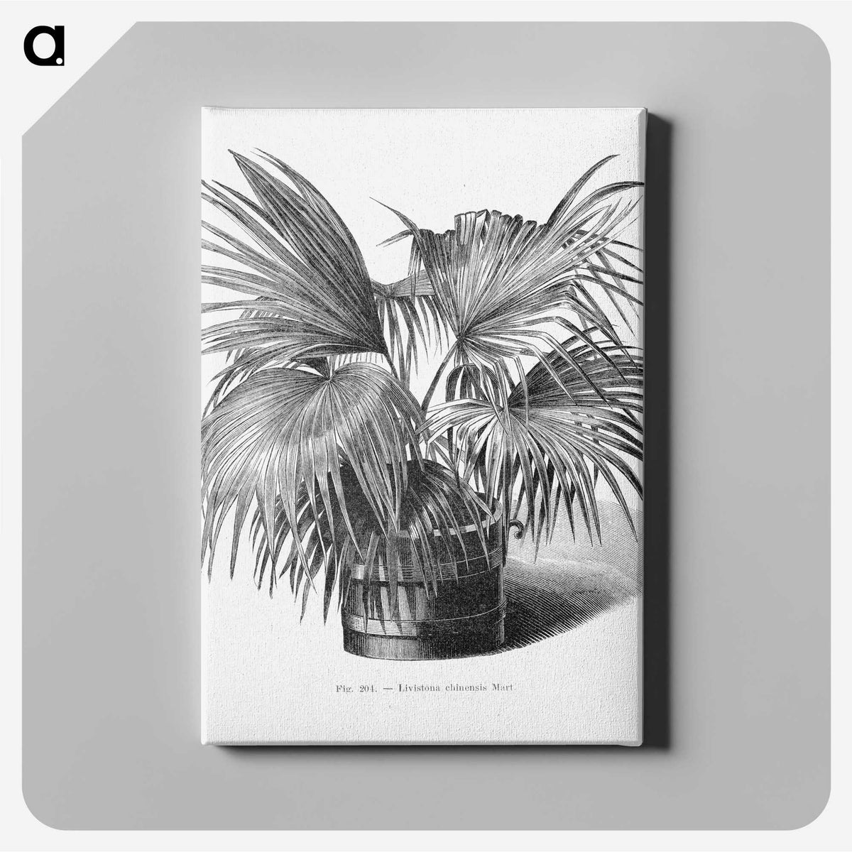 1-97_Les-Palmiers-Histoire-Iconographique_canvas
