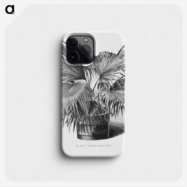 1-97_Les-Palmiers-Histoire-Iconographique_phone